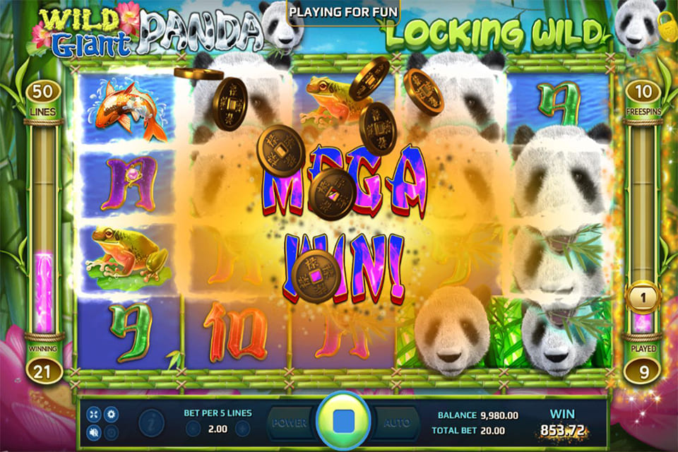 Wild Giant Panda Mega Win