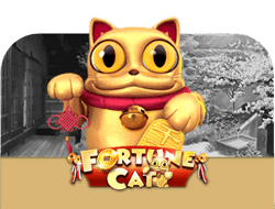 CAT888 GAME