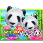 slotxo wild giant panda