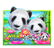 slotxo game wild giant panda